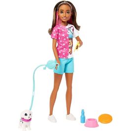 Boneca Skipper Passeadora De Cães Barbie Hkd77