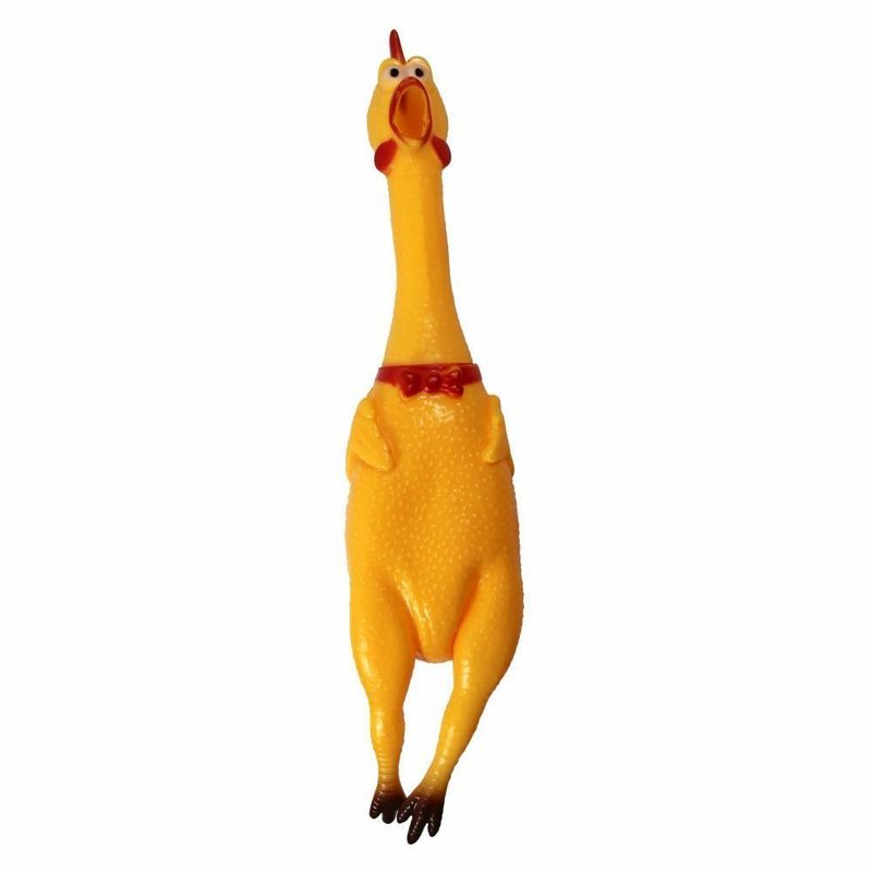 17024051055190