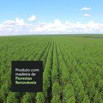 Balcão 100% MDF 80cm 2 Gavetas Branco/Preto Acordes Madesa